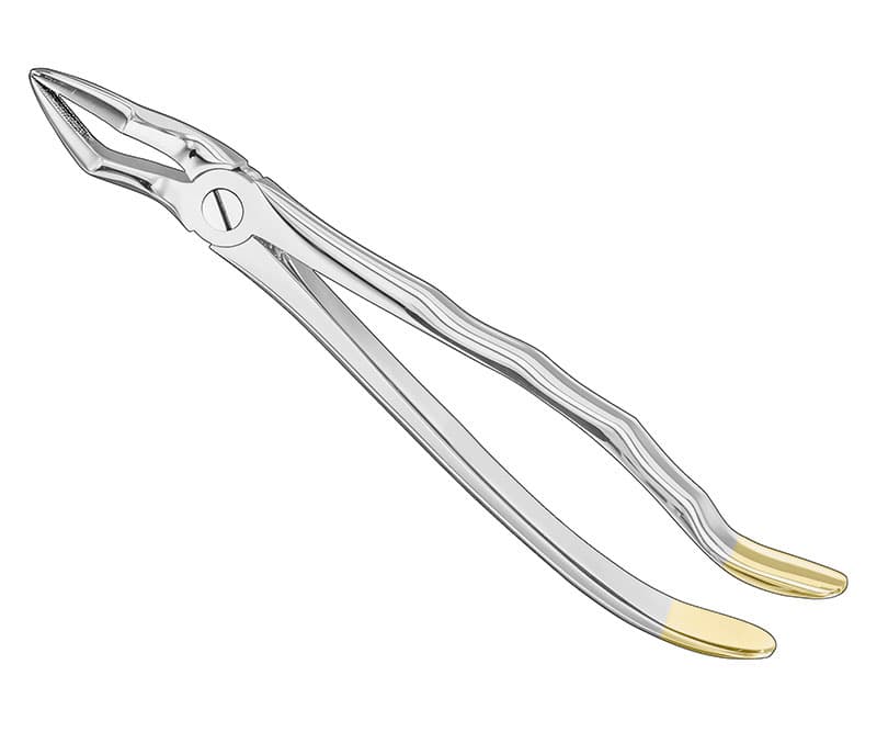 Anatomical Extracting Forceps