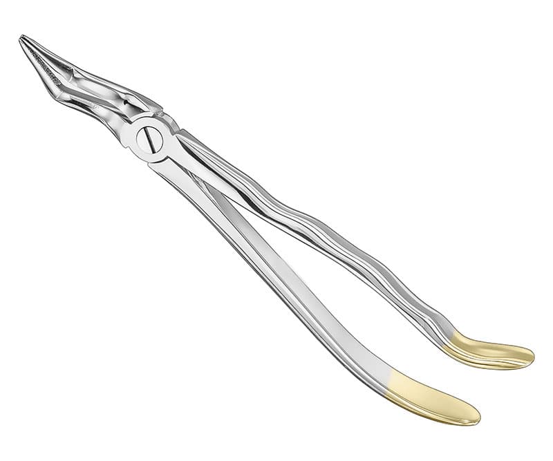Anatomical Extracting Forceps