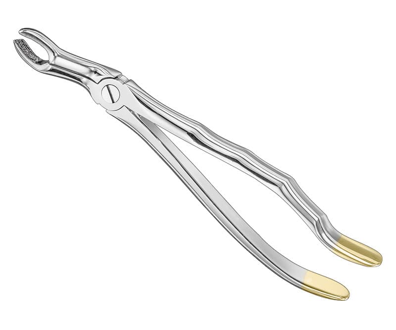 Anatomical Extracting Forceps