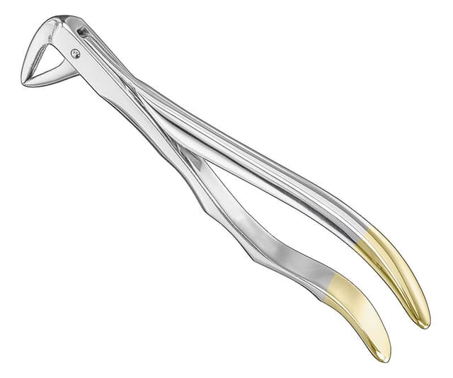 Anatomical Extracting Forceps