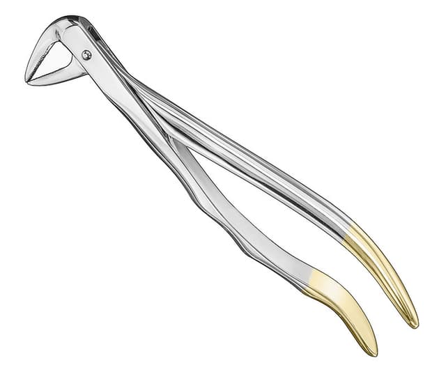 Anatomical Extracting Forceps
