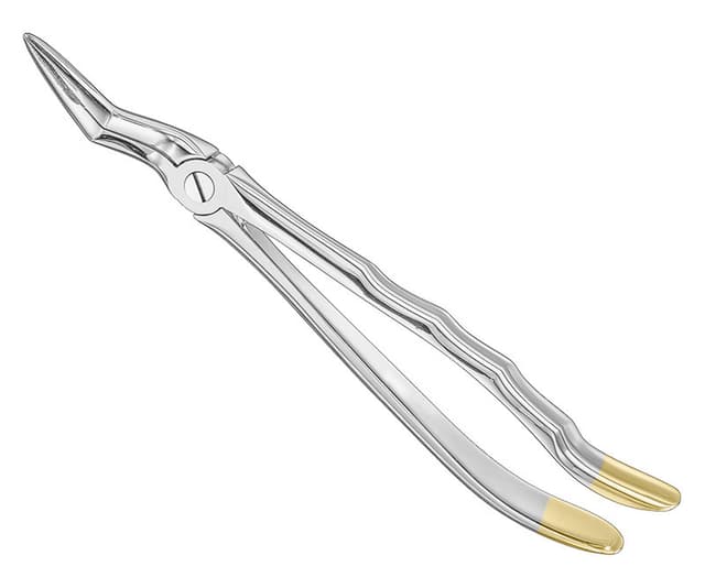 Anatomical Extracting Forceps