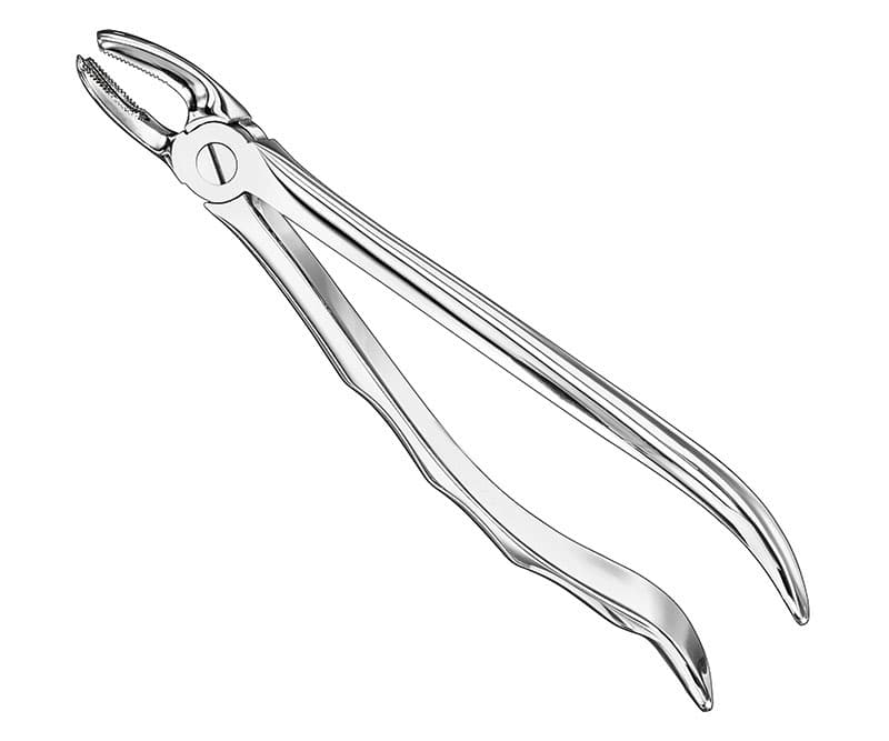 Anatomical Extracting Forceps