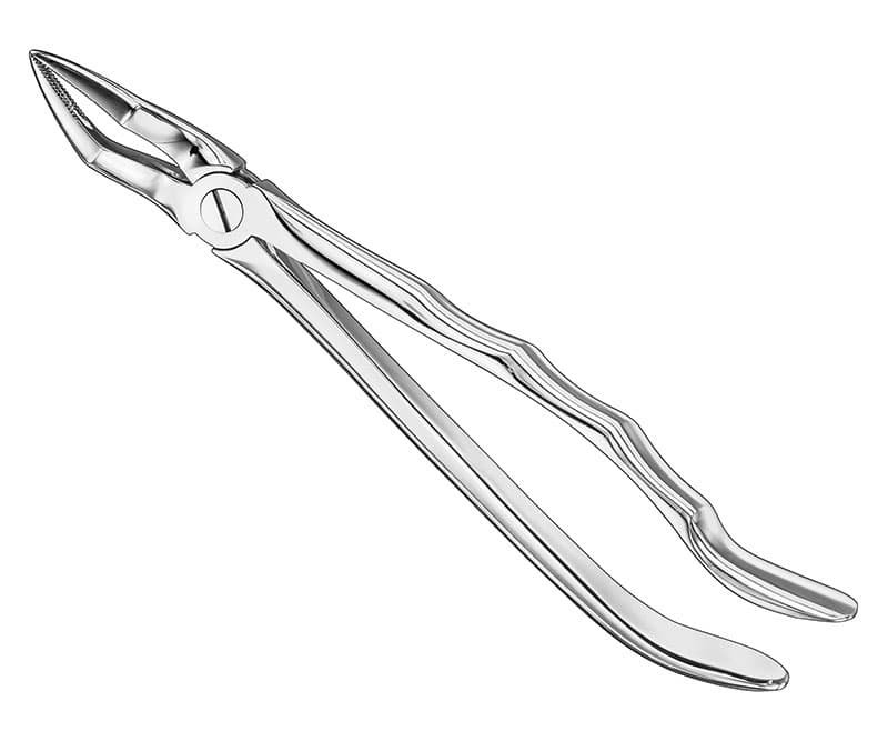 Anatomical Extracting Forceps