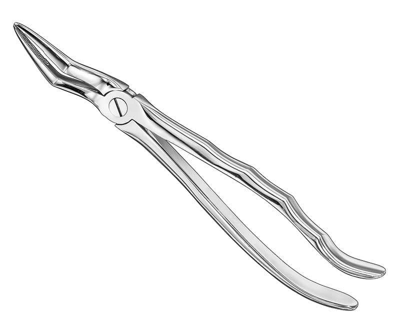 Anatomical Extracting Forceps