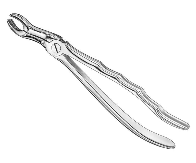Anatomical Extracting Forceps