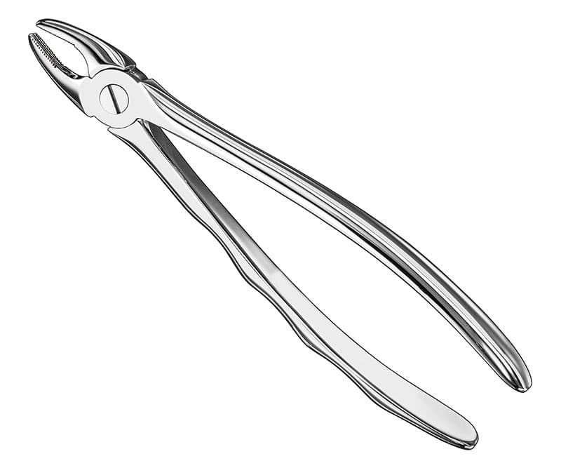 Anatomic Extracting Forceps, Size 37