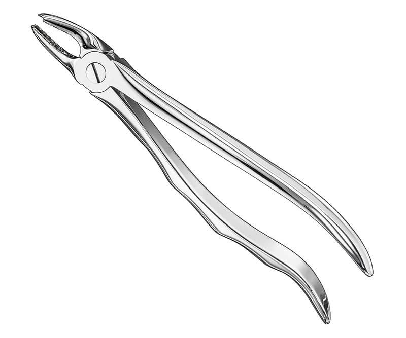 Anatomical Extracting Forceps