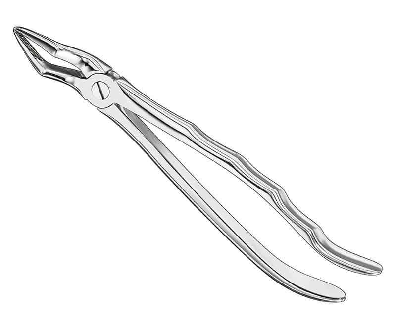 Anatomical Extracting Forceps