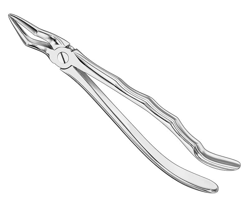 Anatomical Extracting Forceps, Size 51 A