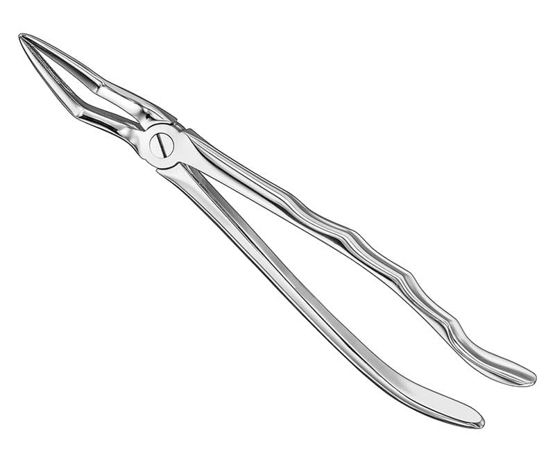 Anatomical Extracting Forceps