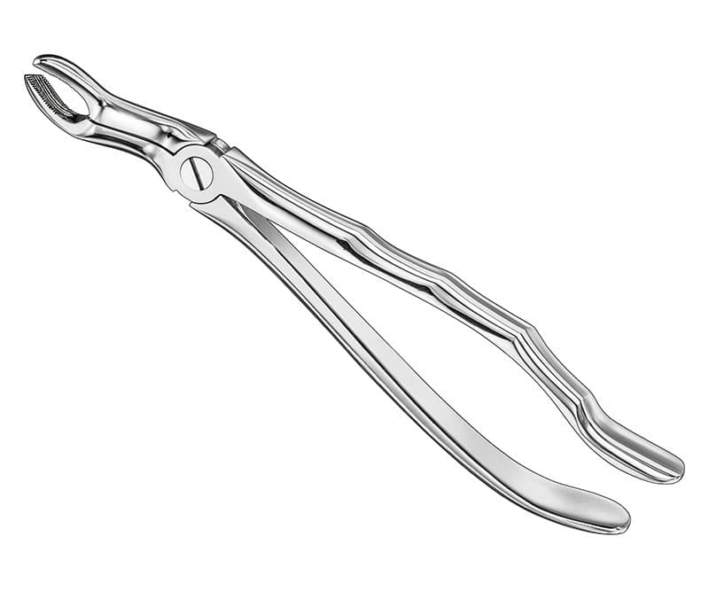 Anatomical Extracting Forceps