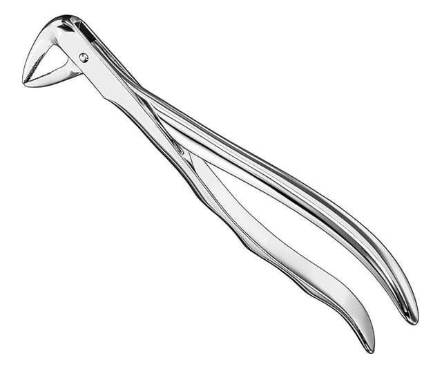 Anatomical Extracting Forceps
