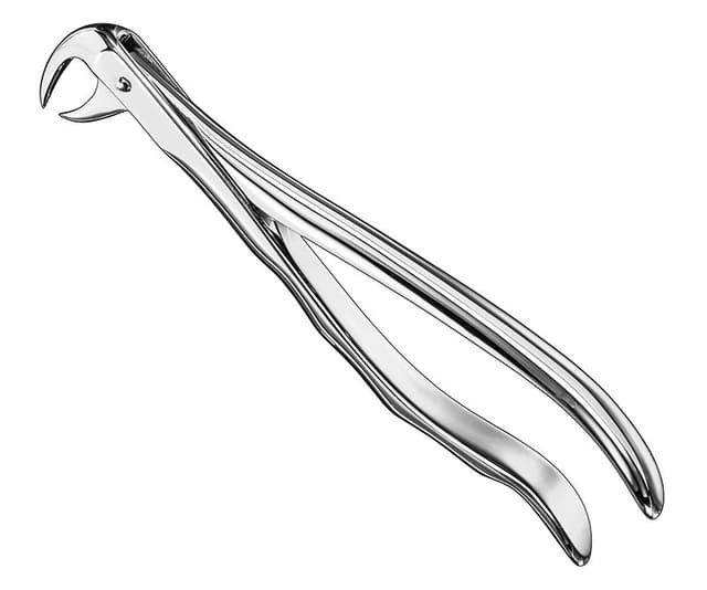 Anatomical Extracting Forceps, Size 86 A