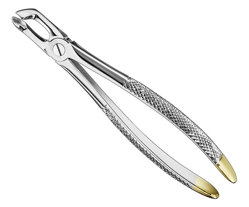 Premium English Extracting Forceps