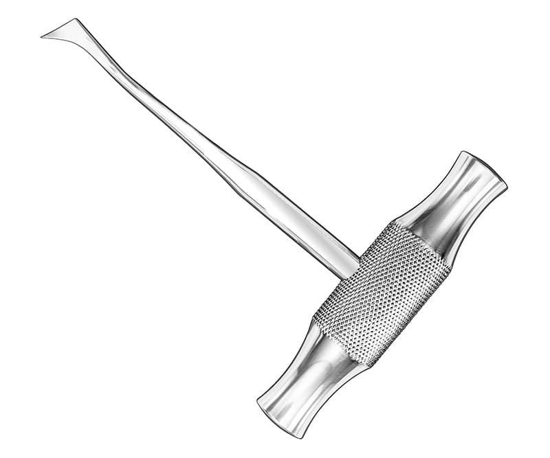 WINTER Root Elevator - Precision Surgical Instrument