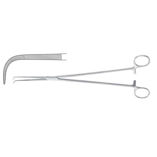Barre Dissecting and Ligature Forceps - 28 cm, Delicate Stainless Steel