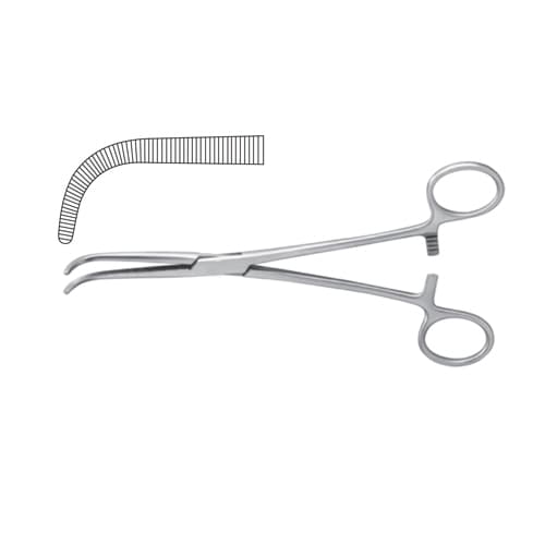 Curved Dissecting and Ligature Forceps - 26 cm (10 1/4 inches)