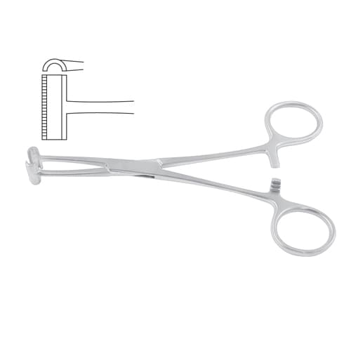 Pratt Hemostatic Forceps - 15 cm (6 inches) Stainless Steel