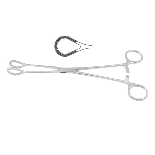 Premium Atrauma Organ and Haemorrhoidal Grasping Forcep - 25 cm (9 3/4 inches)