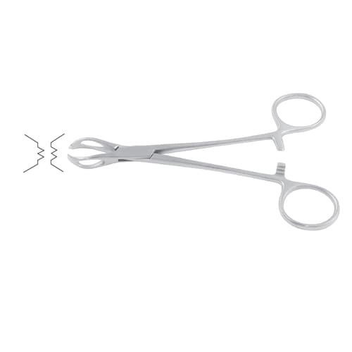 Lane Surgical Towel Clamp - 13 cm (5 inches)