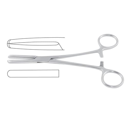 Premium Presbyterian Tubing Clamp - Stainless Steel, 16.5 cm (6 1/2 inches)