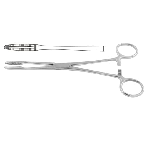 Premium Gross-Maier Dressing Forceps with Ratchet, 22 cm, Stainless Steel