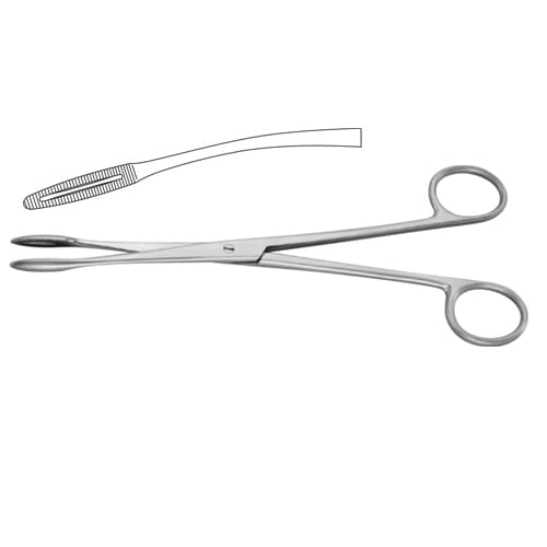 Gross-Maier Curved Dressing Forcep - 20 cm, Stainless Steel