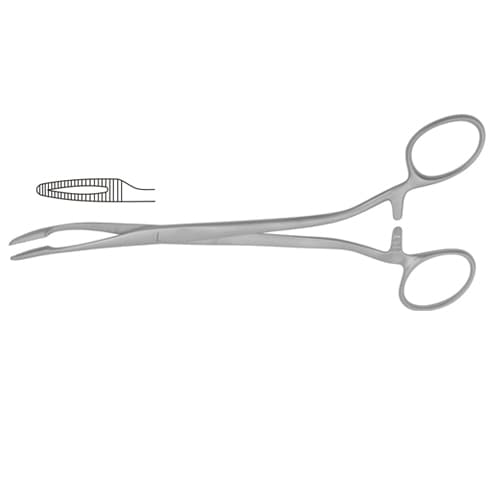 Duplay Curved Sponge Holding Forceps - 21 cm (8 1/4 inch)