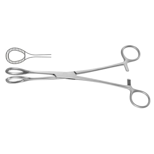Heywood-Smith Sponge Holding Forceps, Straight, 21 cm (8 1/4") - Stainless Steel