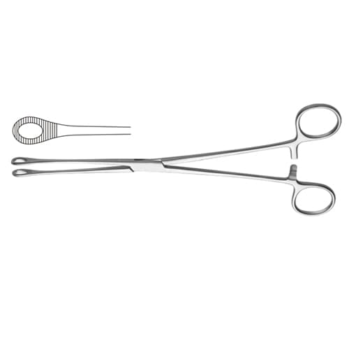 Bergmann Sponge Holding Forcep - Stainless Steel, 24 cm - 9 1/2