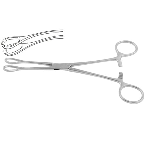 Foerster Sponge Holding Forceps - Curved & Smooth Jaw, Stainless Steel, 24.5 cm (9 3/4 inches)