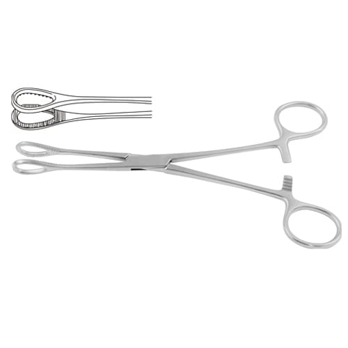 Foerster Sponge Holding Forceps - Premium Stainless Steel, Straight, 25 cm (9 3/4'')
