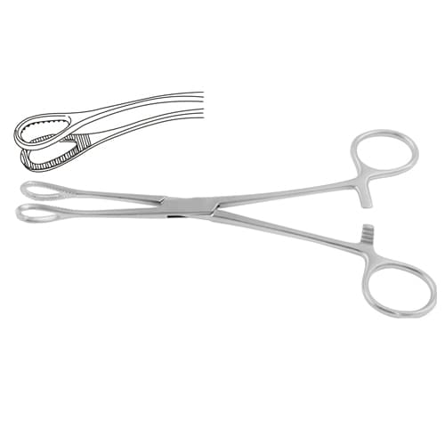 Foerster Curved Sponge Holding Forceps - 17.5 cm