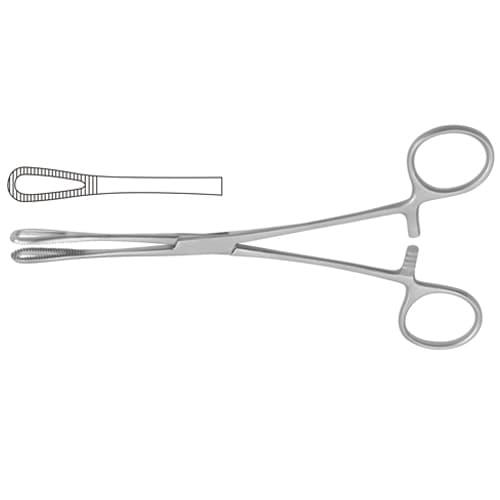 Rampley Sponge Holding Forcep - Stainless Steel, Straight, 24.5 cm (9 3/4 inches)