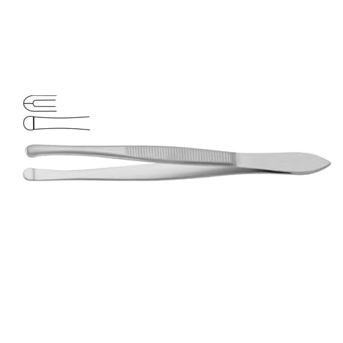 Beer Cilia Forceps - Precision Stainless Steel Instrument