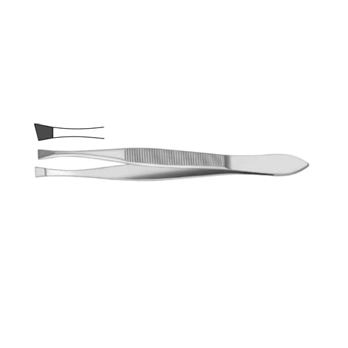 Bergh Cilia Forceps - Precision Stainless Steel Tool