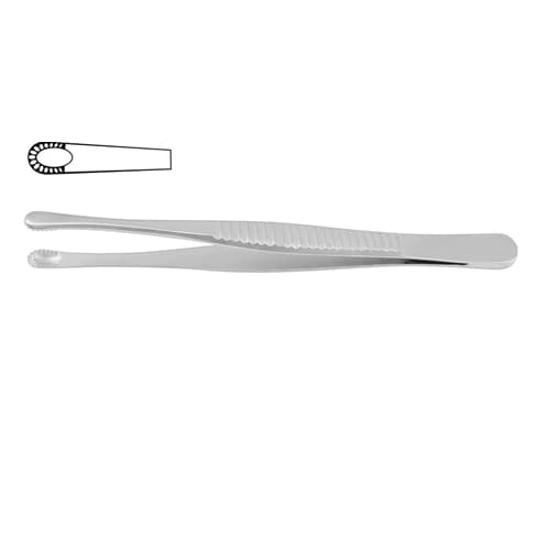 Russian Model Dissecting Forceps - Precision Stainless Steel, 15 cm (6 inches)