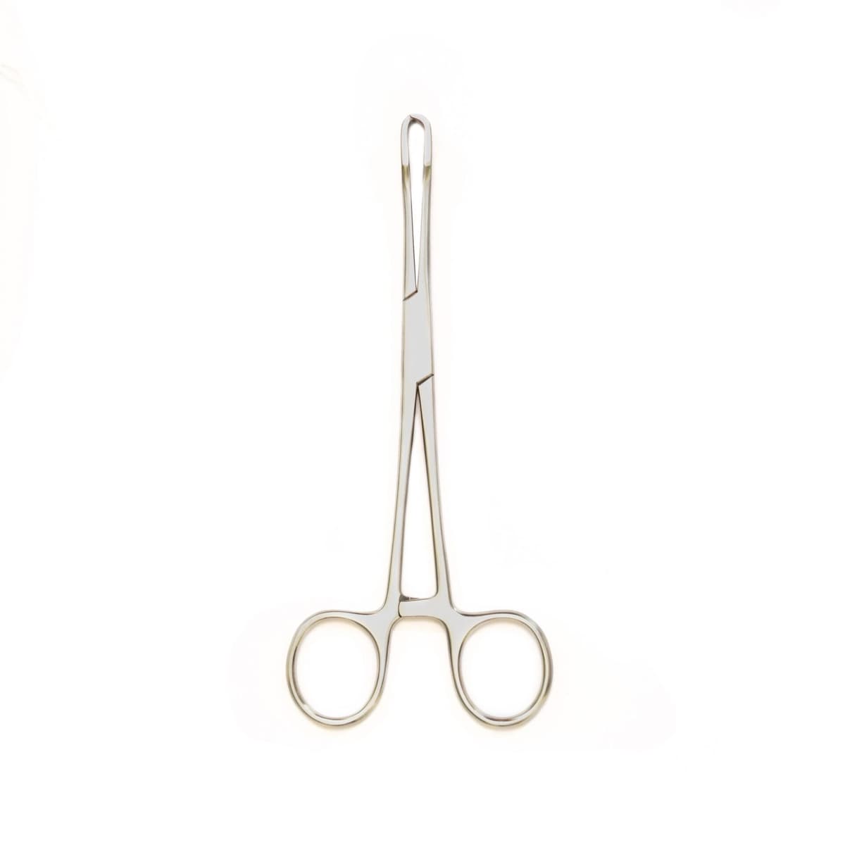 Lahey Forceps 3x3 Teeth, 16cm - Surgical Instrument