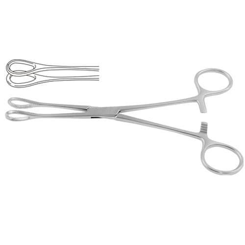 Foerster Sponge Holding Forceps - Stainless Steel, 25 cm (9 3/4") Straight, Smooth Jaw